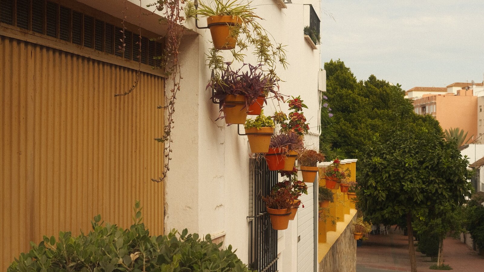 Estepona