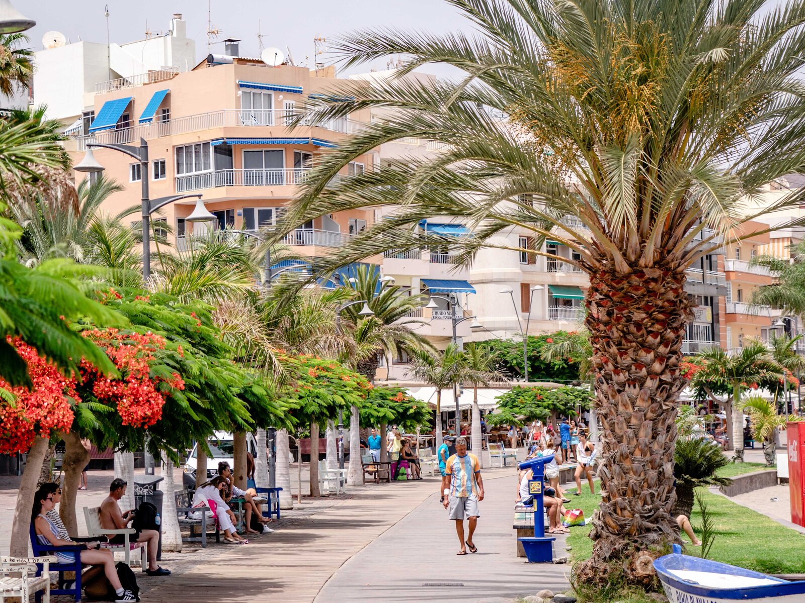 Seafront promenade with palm trees in Marbella